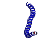 Internexin Neuronal Intermediate Filament Protein Alpha (INa)