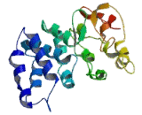 Interphotoreceptor Matrix Proteoglycan 1 (IMPG1)