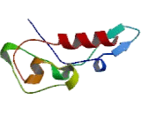 Intestinal Cell Kinase (ICK)