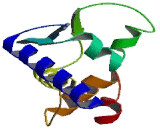 Intracisternal A Particle Promoted Polypeptide (IPP)