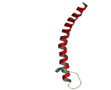 Intraflagellar Transport Protein 20 (IFT20)