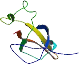 Intraflagellar Transport Protein 46 (IFT46)