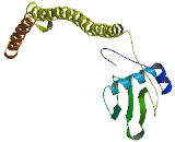 Intraflagellar Transport Protein 74 (IFT74)