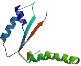 Iodotyrosine Deiodinase (IYD)