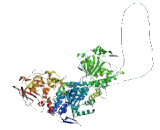 Iron Responsive Element Binding Protein 2 (IREB2)