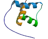 Iroquois Homeobox Protein 6 (IRX6)