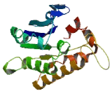 Isoamyl Acetate Hydrolyzing Esterase 1 (IAH1)