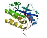 Isochorismatase Domain Containing Protein 1 (ISOC1)