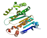 Isocitrate Dehydrogenase 3 Alpha (IDH3a)