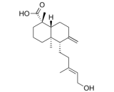 Isocupressic Acid (ICA)