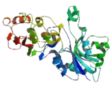 Isoprenoid Synthase Domain Containing Protein (ISPD)