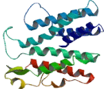 Isoprenylcysteine Carboxyl Methyltransferase (ICMT)