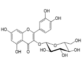 Isoquercitrin (IQ)