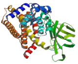 Isovaleryl Coenzyme A Dehydrogenase (IVD)