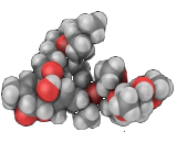 Ivermectin (IVM)