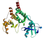 Janus Kinase 2 (JAK2)