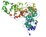 Janus Kinase And Microtubule Interacting Protein 1 (JAKMIP1)