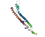 Janus Kinase And Microtubule Interacting Protein 2 (JAKMIP2)