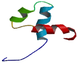 Jerky Homolog Like Protein (JRKL)