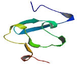 Jumonji C Domain Containing Histone Demethylase 1 Homolog D (JHDM1D)