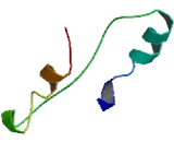 Jumonji Domain Containing Protein 5 (JMJD5)