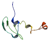 Jumping Translocation Breakpoint Protein (JTB)