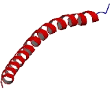 Jun Dimerization Protein 1 (JDP1)