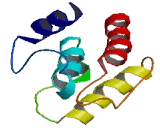 Junctional Rab13 Binding Protein (JRAB)