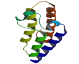 K-Acetyltransferase 2A (KAT2A)