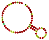 KCNQ1 Downstream Neighbor (KCNQ1DN)