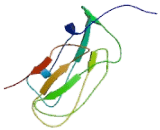 KDEL Containing Protein 1 (KDELC1)