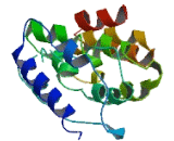 KH And NYN Domain Containing Protein (KHNYN)