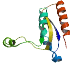 KH Domain Containing, RNA Binding, Signal Transduction Associated Protein 3 (KHDRBS3)