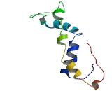 KH Homology Domain Containing Protein 1 Like Protein (KHDC1L)