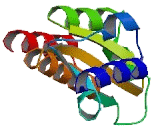 KH-Type RNA Binding Protein 1 (KHRBP1)