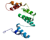 KIF1 Binding Protein (KBP)