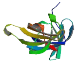 KIN, Antigenic Determinant Of RecA Protein Homolog (KIN)