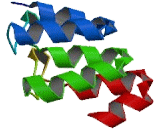 KN Motif And Ankyrin Repeat Domains Protein 2 (KANK2)