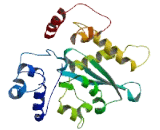 KRAB-A Domain Containing Protein 2 (KRBA2)