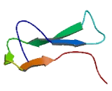 KRAB Domain Containing Protein 1 (KRBOX1)