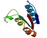 KTI12 Homolog, Chromatin Associated (KTI12)