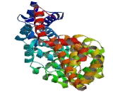 Karyopherin Alpha 1 (KPNa1)