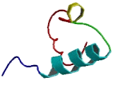 Kelch Domain Containing Protein 8A (KLHDC8A)