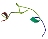 Kelch Repeat And BTB Domain Containing Protein 11 (KBTBD11)