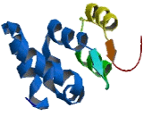 Kelch Repeat And BTB Domain Containing Protein 4 (KBTBD4)