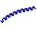 Cytokeratin 14 (CK14)