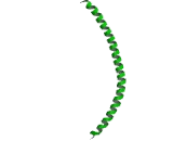 Cytokeratin 19 (CK19)