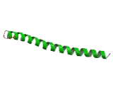 Cytokeratin 4 (CK4)