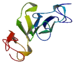 Keratin Associated Protein 11-1 (KRTAP11-1)