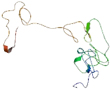 Keratin Associated Protein 26-1 (KRTAP26-1)